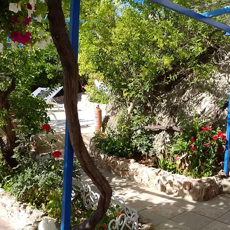 Paradis Appartement *