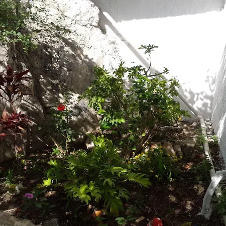 Paradis Appartement *