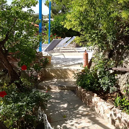Paradis *