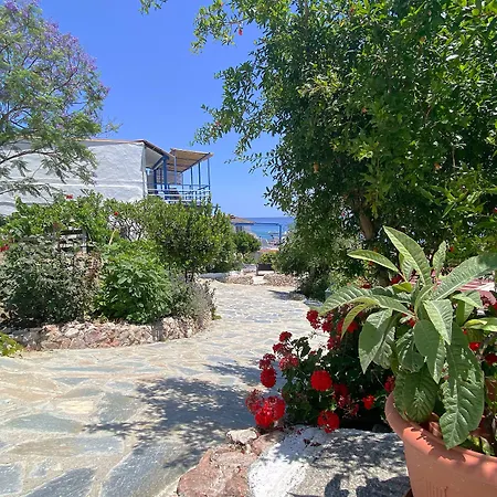 Paradis شقة