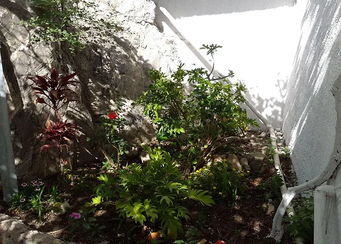 Paradis Appartement *